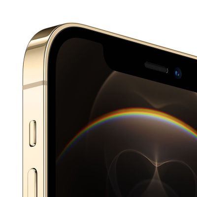 Фото 2 — Смартфон Apple iPhone 12 Pro 128GB Золотой